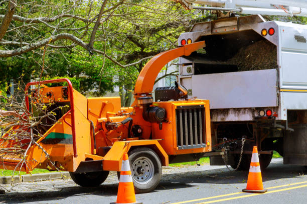 Lawn Drainage Solutions in Garfield Heights, OH