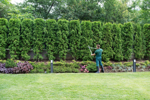 Why Choose Our Tree Removal Services in Garfield Heights, OH?